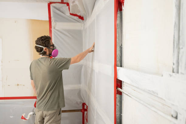 Mold Remediation for Vacation Homes in La Porte City, IA