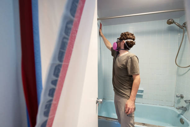 Best Environmental Consulting for Mold Prevention  in La Porte City, IA