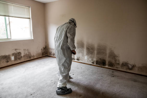 Forensic Mold Investigation in La Porte City, IA